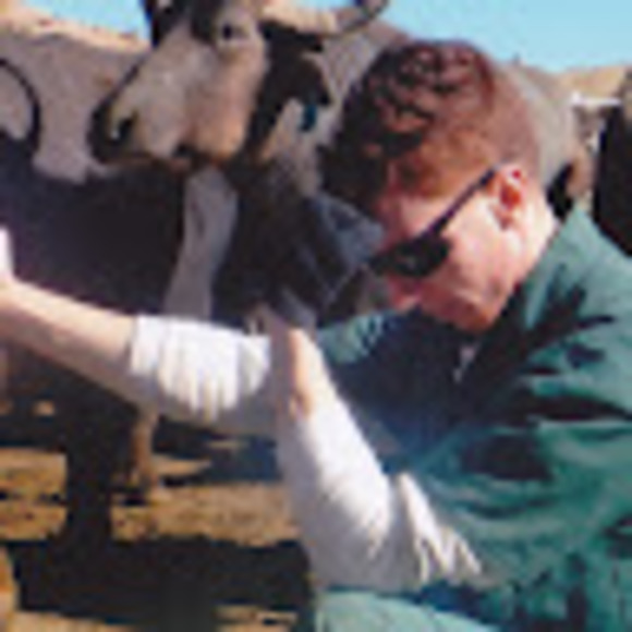 Meet your Posher, Cordearo - Picture 1 of 1